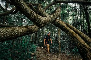 BIB: 
                            <button type="button" onclick="openModal(25664680)" class="btn btn-primary btn-sm float-right btn-popup" data-toggle="modal" data-target=".modal-high-quality">
                        <i class="fas fa-shopping-cart"></i> Add to Cart
                    </button>
                                            <button type="button" onclick="isThisMe(25664680, true)" class="btn btn-success btn-sm float-right btn-popup btn-isme hidden" data-toggle="tooltip" data-placement="bottom" title="นี่คือรูปของคุณใช่ไหม คลิกที่นี่เพื่อเอาเข้าอัลบั้ม">
                        <i class="fas fa-plus"></i> Add to album
                    </button>
                    <button type="button" onclick="isThisMe(25664680, false)" class="btn btn-warning btn-sm float-right btn-popup btn-isnotme hidden">
                        <i class="fas fa-ban"></i> Remove from album
                    </button>